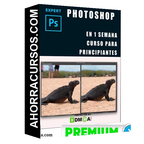 Curso Photoshop en una Semana – EstudioGuti
