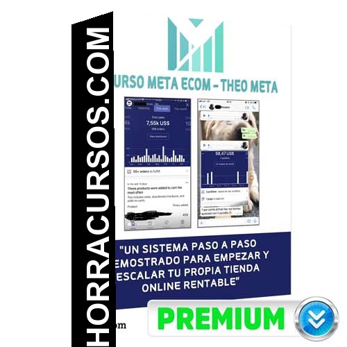 Curso Meta Ecom – Theo Meta