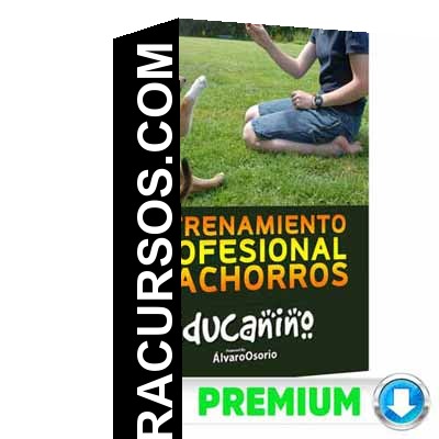 Curso Educanino – Álvaro Osorio