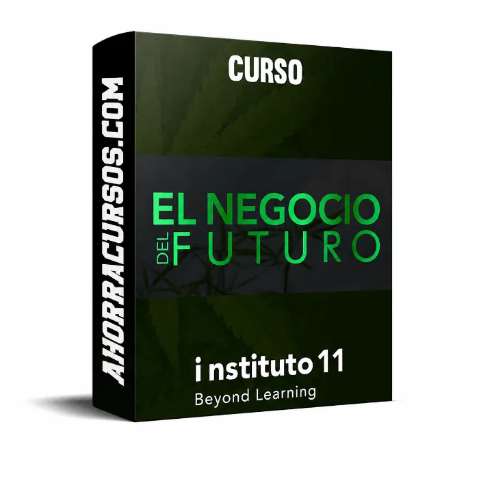 Curso El negocio del futuro – Instituto 11
