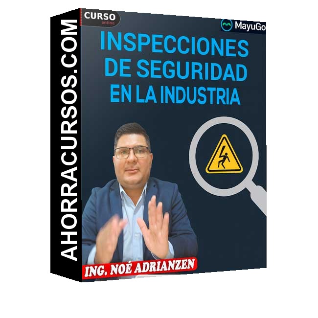 Inspecciones de seguridad en la industria - Noé Adrianzen
