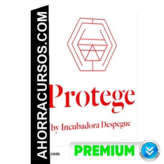 Programa de Certificaciones Protege - Incubadora Despegue
