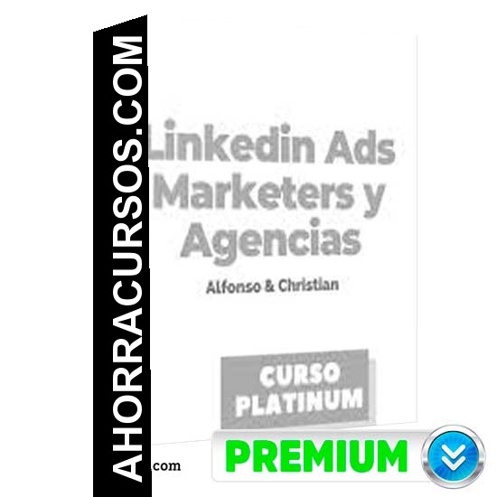 Linkedin Ads para Marketers y Agencias - Alfonso & Christian