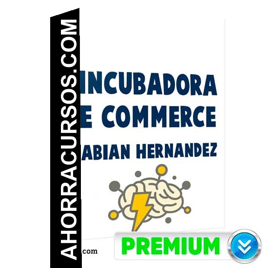 Incubadora E-Commerce - Fabian Hernandez