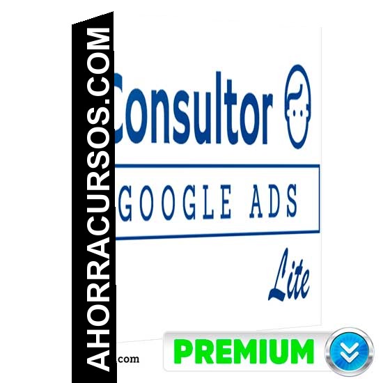 Consultor Google Ads (Lite) - Alan Valdez