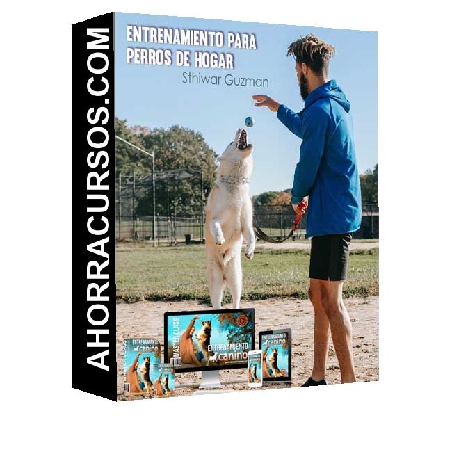 Entrenamiento para Perros - Hogar – Sthiwar Guzman
