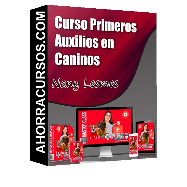 Primeros Auxilios en Caninos – Nany Lesmes
