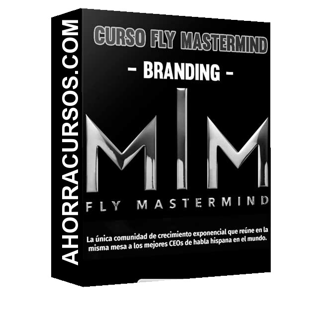 Curso Fly Mastermind – Branding – Instituto 11