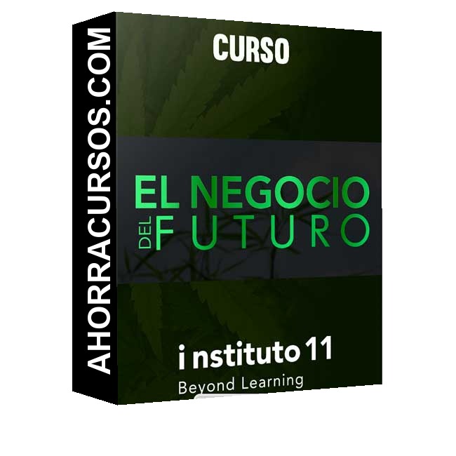 Curso El negocio del futuro – Instituto 11